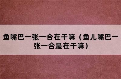 鱼嘴巴一张一合在干嘛（鱼儿嘴巴一张一合是在干嘛）