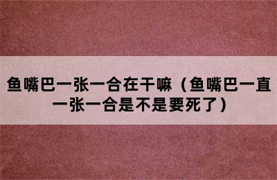 鱼嘴巴一张一合在干嘛（鱼嘴巴一直一张一合是不是要死了）