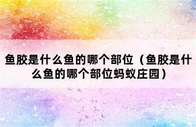 鱼胶是什么鱼的哪个部位（鱼胶是什么鱼的哪个部位蚂蚁庄园）