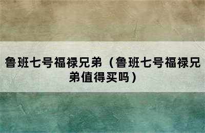 鲁班七号福禄兄弟（鲁班七号福禄兄弟值得买吗）