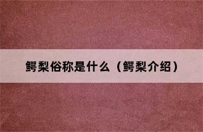 鳄梨俗称是什么（鳄梨介绍）
