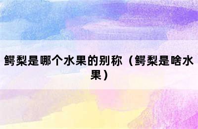 鳄梨是哪个水果的别称（鳄梨是啥水果）