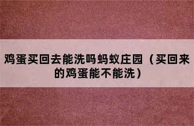 鸡蛋买回去能洗吗蚂蚁庄园（买回来的鸡蛋能不能洗）