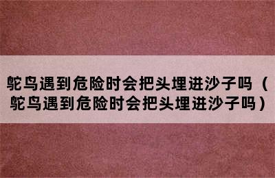 鸵鸟遇到危险时会把头埋进沙子吗（鸵鸟遇到危险时会把头埋进沙子吗）