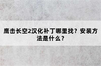 鹰击长空2汉化补丁哪里找？安装方法是什么？