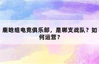 鹿晗组电竞俱乐部，是哪支战队？如何运营？