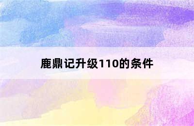 鹿鼎记升级110的条件