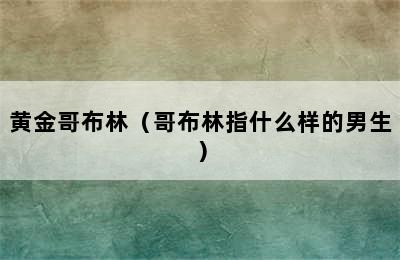 黄金哥布林（哥布林指什么样的男生）