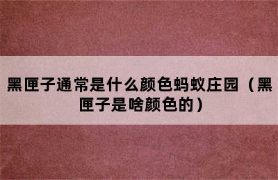 黑匣子通常是什么颜色蚂蚁庄园（黑匣子是啥颜色的）