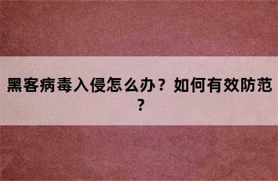黑客病毒入侵怎么办？如何有效防范？