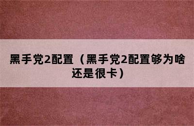 黑手党2配置（黑手党2配置够为啥还是很卡）