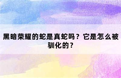 黑暗荣耀的蛇是真蛇吗？它是怎么被驯化的？