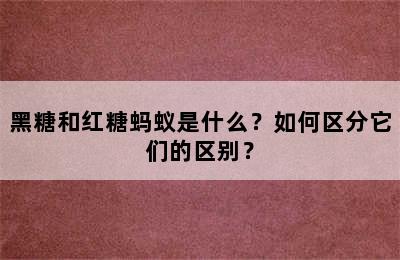 黑糖和红糖蚂蚁是什么？如何区分它们的区别？