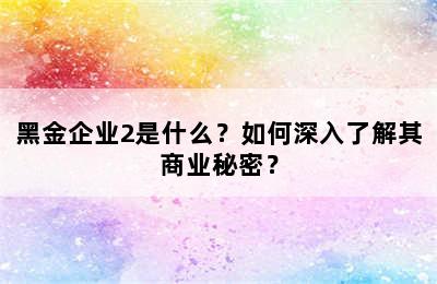 黑金企业2是什么？如何深入了解其商业秘密？