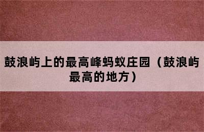 鼓浪屿上的最高峰蚂蚁庄园（鼓浪屿最高的地方）