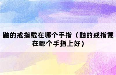 鼬的戒指戴在哪个手指（鼬的戒指戴在哪个手指上好）