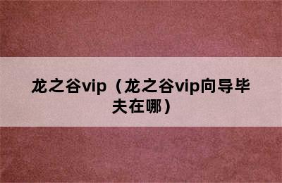 龙之谷vip（龙之谷vip向导毕夫在哪）