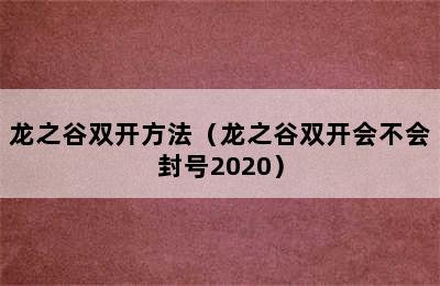 龙之谷双开方法（龙之谷双开会不会封号2020）