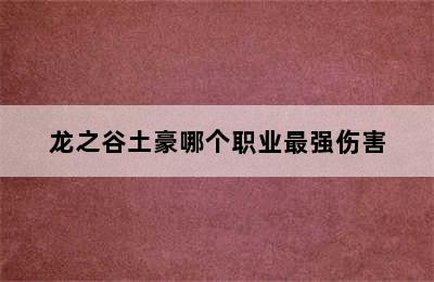 龙之谷土豪哪个职业最强伤害