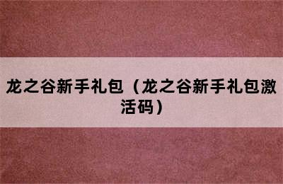 龙之谷新手礼包（龙之谷新手礼包激活码）