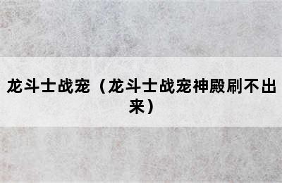 龙斗士战宠（龙斗士战宠神殿刷不出来）