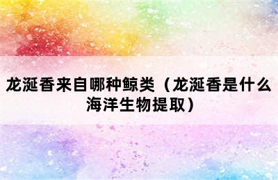 龙涎香来自哪种鲸类（龙涎香是什么海洋生物提取）