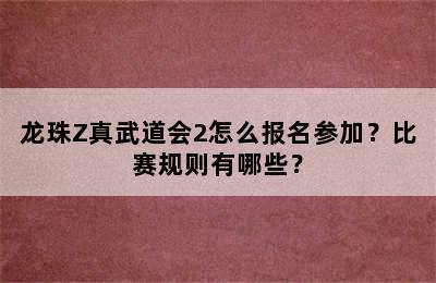 龙珠Z真武道会2怎么报名参加？比赛规则有哪些？