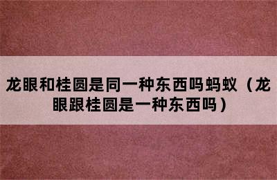 龙眼和桂圆是同一种东西吗蚂蚁（龙眼跟桂圆是一种东西吗）