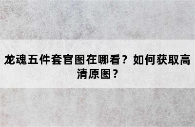 龙魂五件套官图在哪看？如何获取高清原图？