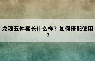 龙魂五件套长什么样？如何搭配使用？