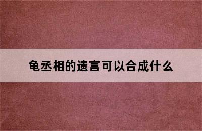 龟丞相的遗言可以合成什么